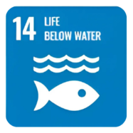 Sdg14
