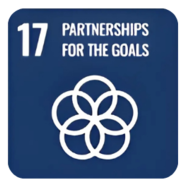 Sdg17